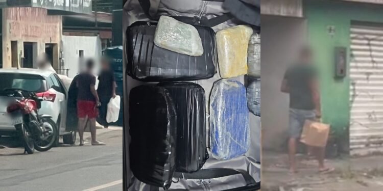 Seis integrantes do grupo criminoso foram presos - (Fotos: Divulgação/PC-AM)