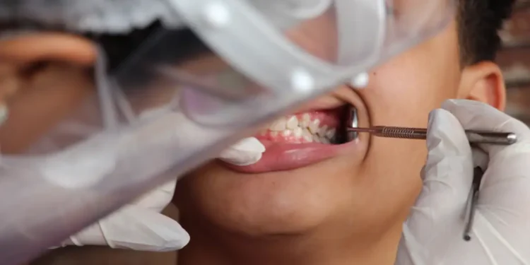 O índice é 14% maior do que o resultado da última pesquisa, em 2010 - (Foto: Laísa Queiroz)