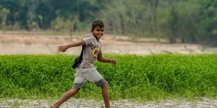 Centro Nacional de Monitoramento e Alertas de Desastres Naturais mostra os tipos de secas no país