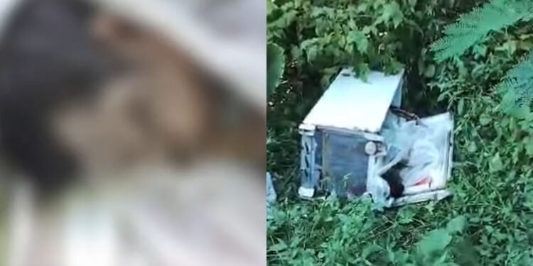 Corpo em estado de decomposição é encontrado dentro de geladeira