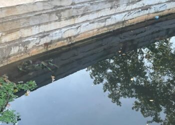 Corpo encontrado boiando