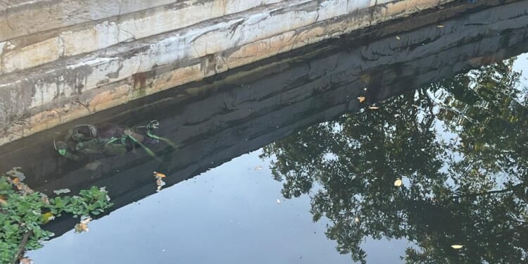 Corpo encontrado boiando