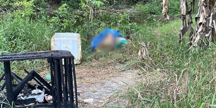 Corpo encontrado em terreno