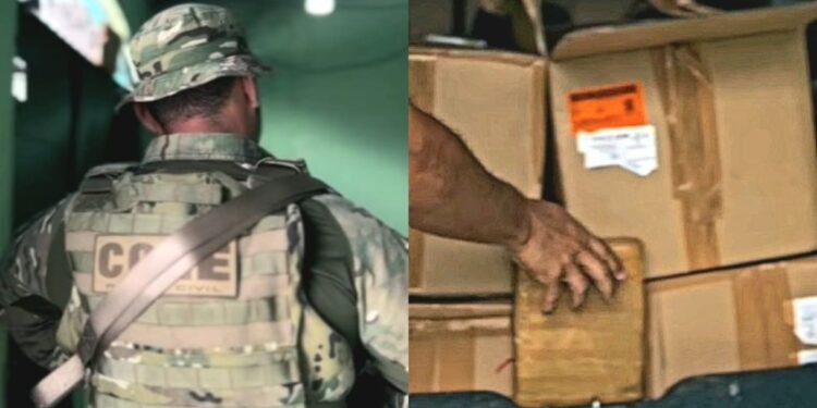 Denarc desarticula centro de distribuição de drogas no bairro Mutirão