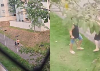 Homem briga na zona Norte