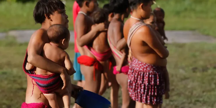 A conclusão é do Conselho Indigenista Missionário