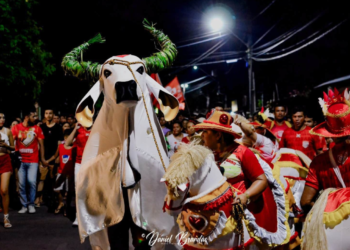 Matança do Garantido é evento tradicional em Parintins (Daniel Brandão)