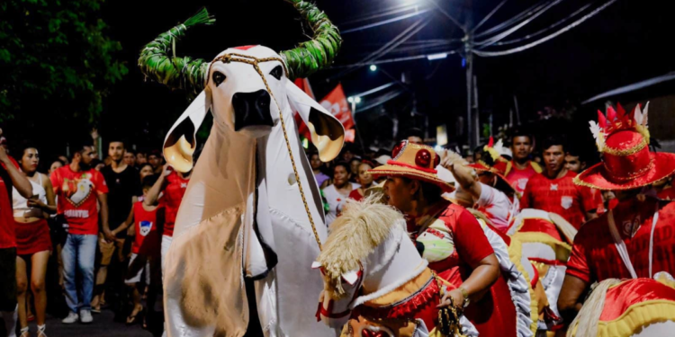 Matança do Garantido é evento tradicional em Parintins (Daniel Brandão)