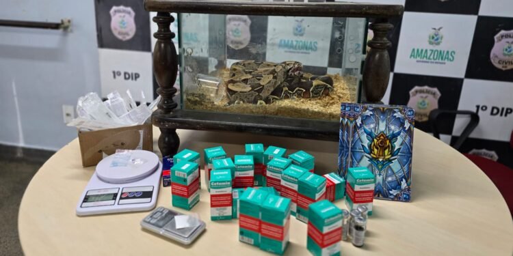 Material apreendido durante a 3ª fase da Operação Mandrágora (Divulgação/PC-AM)