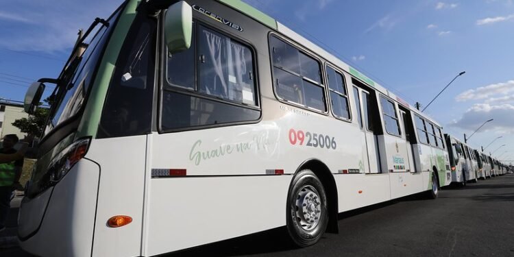 Novos Ônibus (3)