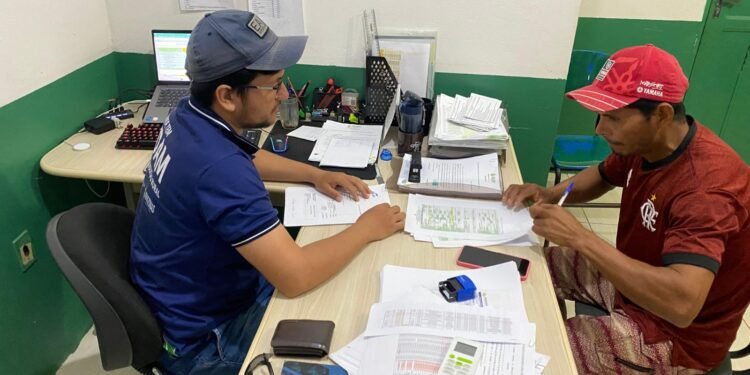 Produtores são beneficiados no Amazonas - (Foto: Divulgação)