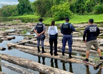 Ação policial - (Foto: Divulgação/PC-AM)