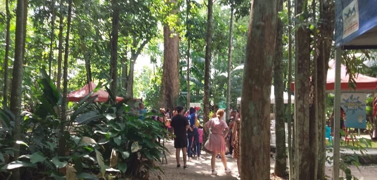 Ações de conscientização celebram o Dia de Proteção às Florestas