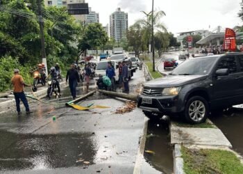 carro bate em postes