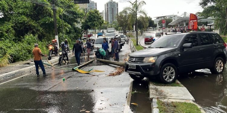 carro bate em postes