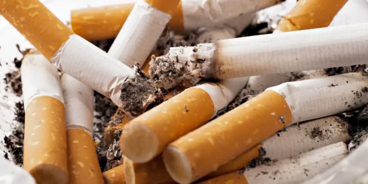 Cigarro de tabaco - (Foto: Reprodução)