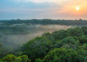 clima-amazonas