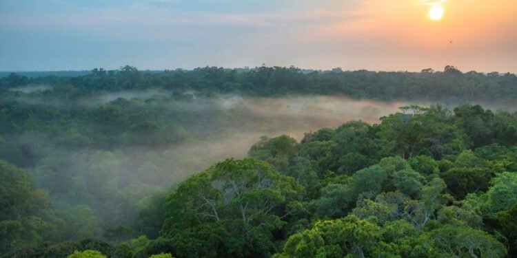 clima-amazonas