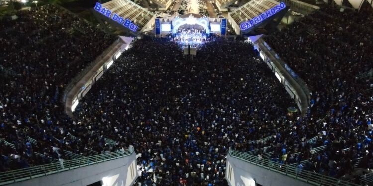 cultura_caprichoso_festa_da_vitória_marcely_gomes