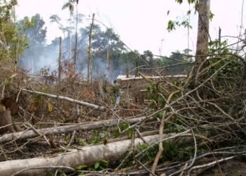 Desmatamento na Amazônia afeta o clima regional e global - (Foto: Reprodução)
