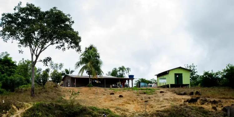 Hepatite Delta avança entre ribeirinhos no Amazonas