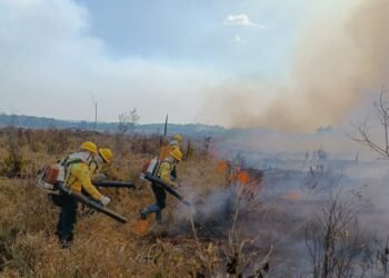 Ações de combate a incêndio florestais no Amazonas são intensificadas pelo Ibama