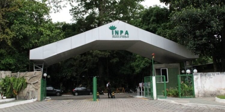 Instituto Nacional de Pesquisas na Amazônia completa 70 anos
