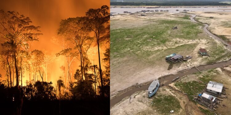 Queimada e estiagem na Amazônia - (Foto: Reprodução)