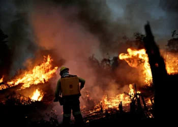 queimadas-amazonas
