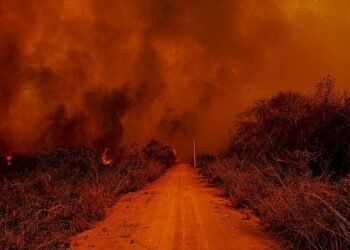 Pelo menos 28% do Pantanal foram devastados pelo fogo, de acordo com cálculos do Instituto SOS Pantanal - (Foto: Mayke Toscano/Secom-MT)