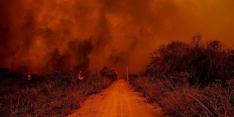 Pelo menos 28% do Pantanal foram devastados pelo fogo, de acordo com cálculos do Instituto SOS Pantanal - (Foto: Mayke Toscano/Secom-MT)