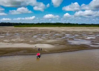 El Niño: especialistas avaliam seca no Sul do Amazonas