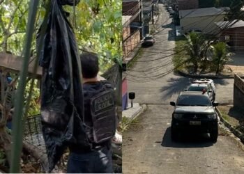 Ação da policia, prisão do grupo criminosos