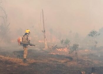 CBMAM INCÊNDIO EM PASTO - APUÍ