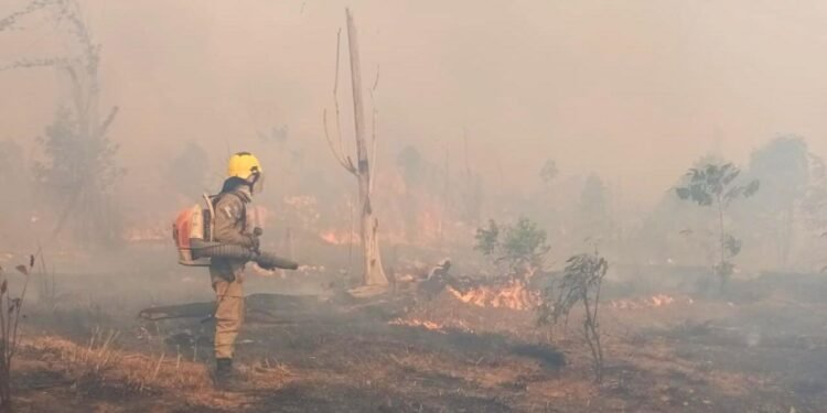 CBMAM INCÊNDIO EM PASTO - APUÍ