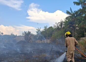 CBMAM OPERAÇÃO ACEIRO_DOIS MESES DE ATUAÇÃO_FOTO CBMAM_4