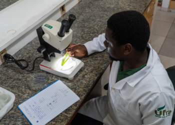 Inscrições abertas para capacitação profissional gratuita para jovens haitianos em Manaus