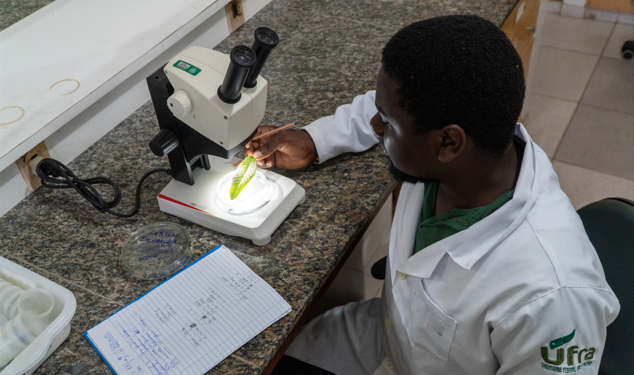 Inscrições abertas para capacitação profissional gratuita para jovens haitianos em Manaus