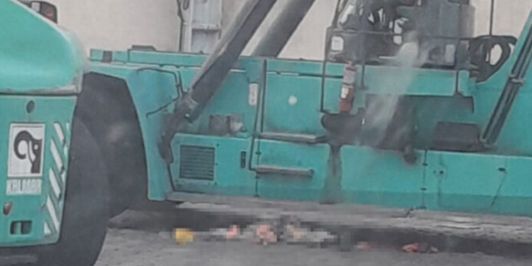 Funcionário do Super Terminais morre esmagado