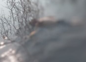 Corpo boiando no bairro Colônia Antônio Aleixo