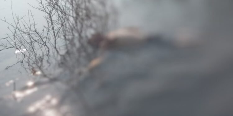 Corpo boiando no bairro Colônia Antônio Aleixo