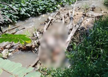 Corpo em estado de decomposição