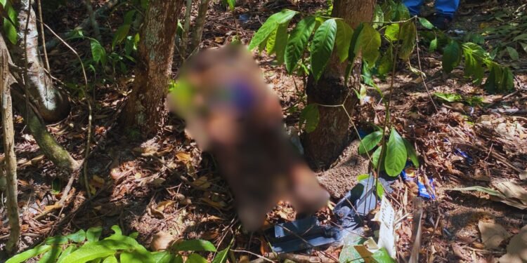 Corpo encontrado na zona Norte