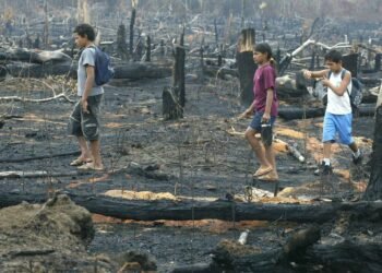 Unicef alerta sobre efeitos de queimadas para crianças e adolescentes