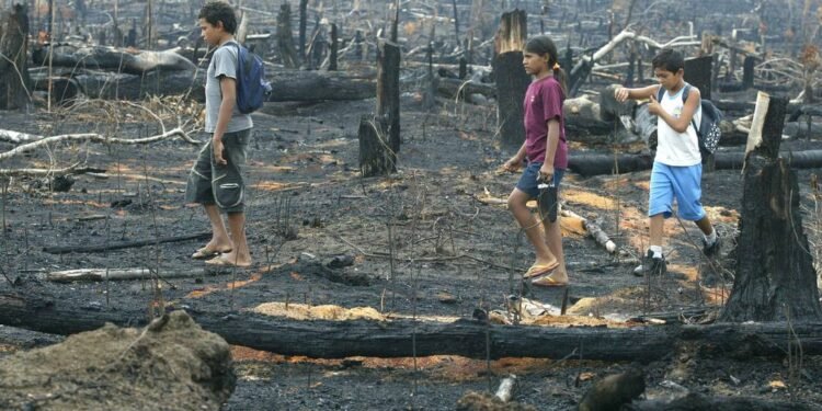 Unicef alerta sobre efeitos de queimadas para crianças e adolescentes