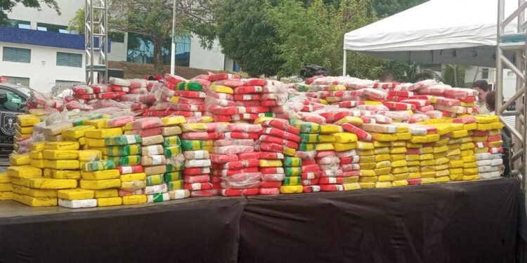 (Foto: Graziela Pinheiro – GDC) Maior apreensão de cocaína do Amazonas - (Foto: Graziela Pinheiro – GDC)