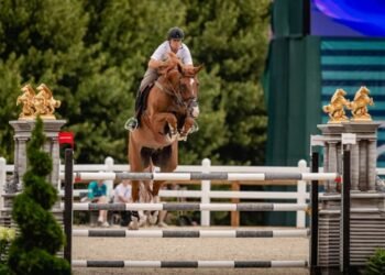 Equipe de hipismo brasileira