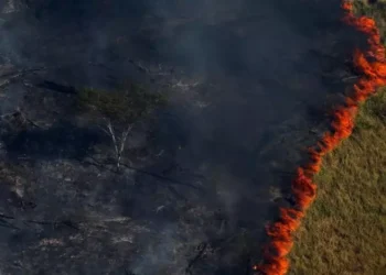 Chamas queimam floresta em Apuí, no Amazonas (Bruno Kelly/Reuters)