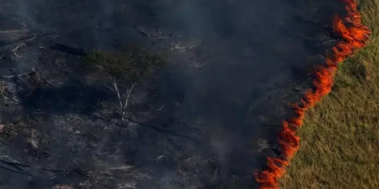 Chamas queimam floresta em Apuí, no Amazonas (Bruno Kelly/Reuters)