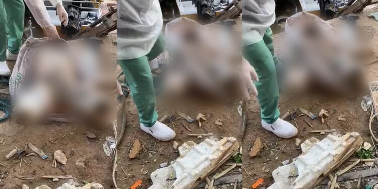 Corpo encontrado esquartejado na Feira da Manaus moderna (Foto: Reprodução)